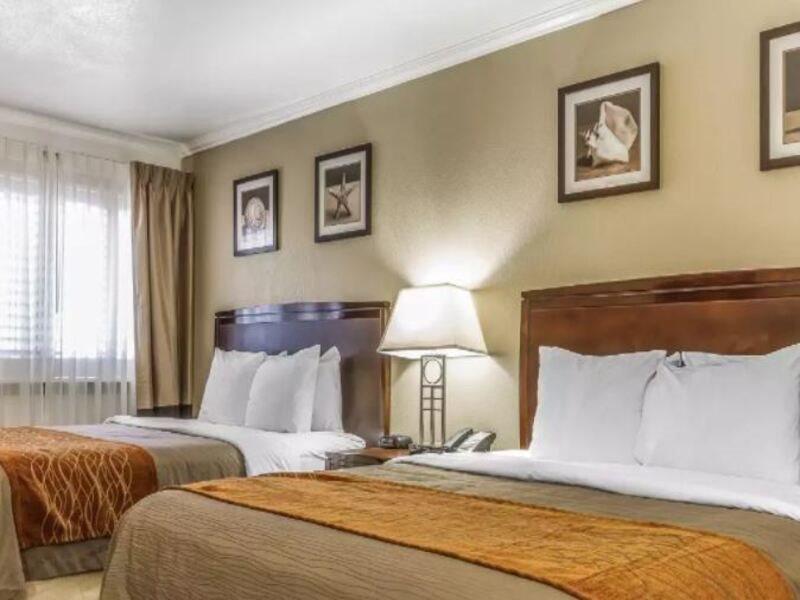Comfort 2* Santa Cruz